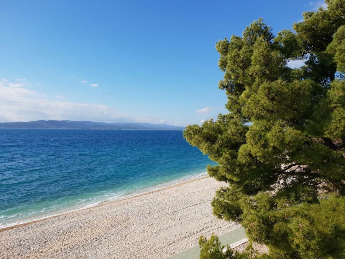 Apartment Dalija Baška Voda Dış mekan fotoğraf